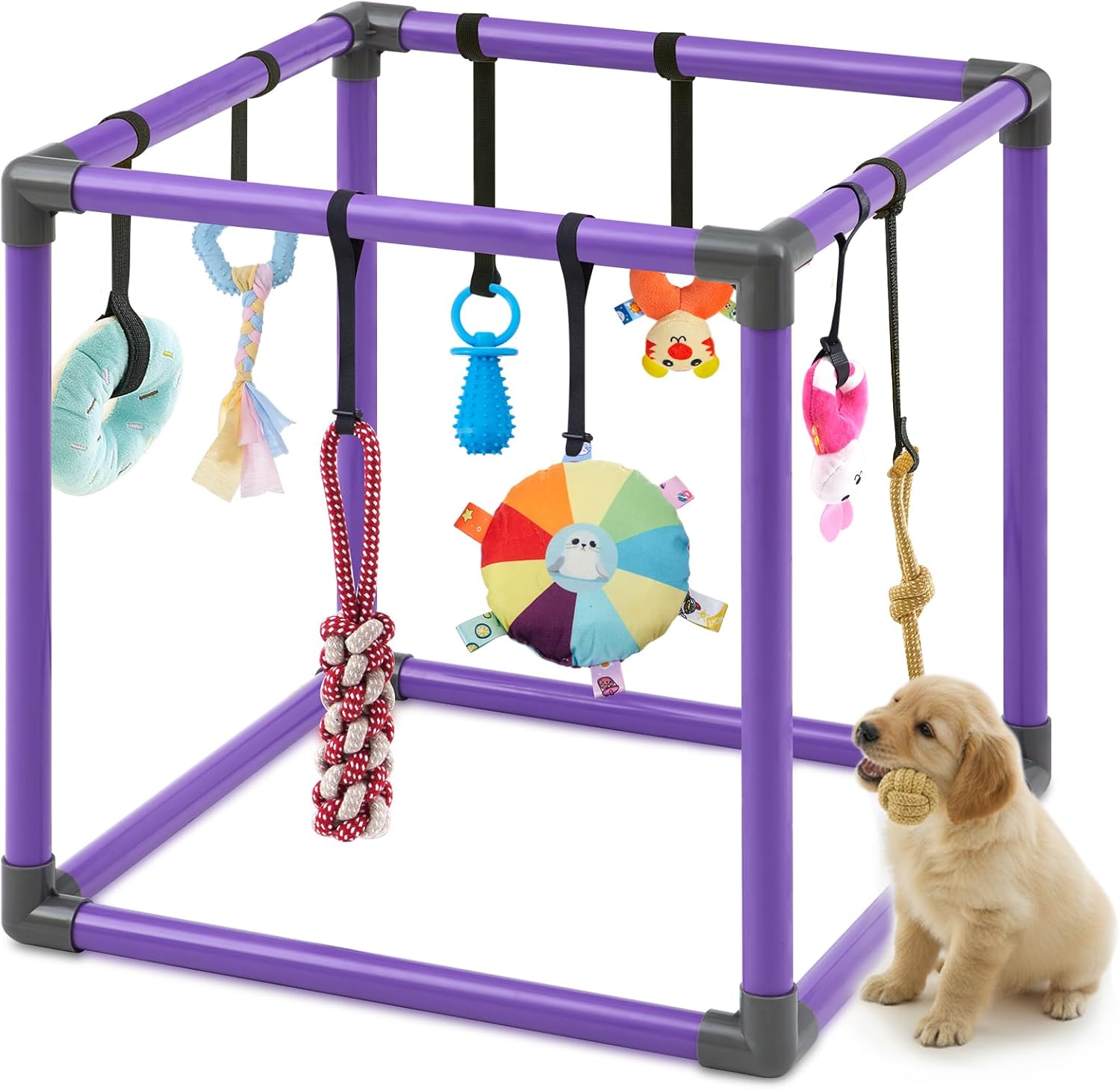 Soulchen Puppy Play Gym with 8 Hanging Toys, Small Dogs Enrichment Interactive Toys 19.7 Inch Pets Indoor Jungle Gym PVC Frame with Bungee Straps Enrichment Activity Center