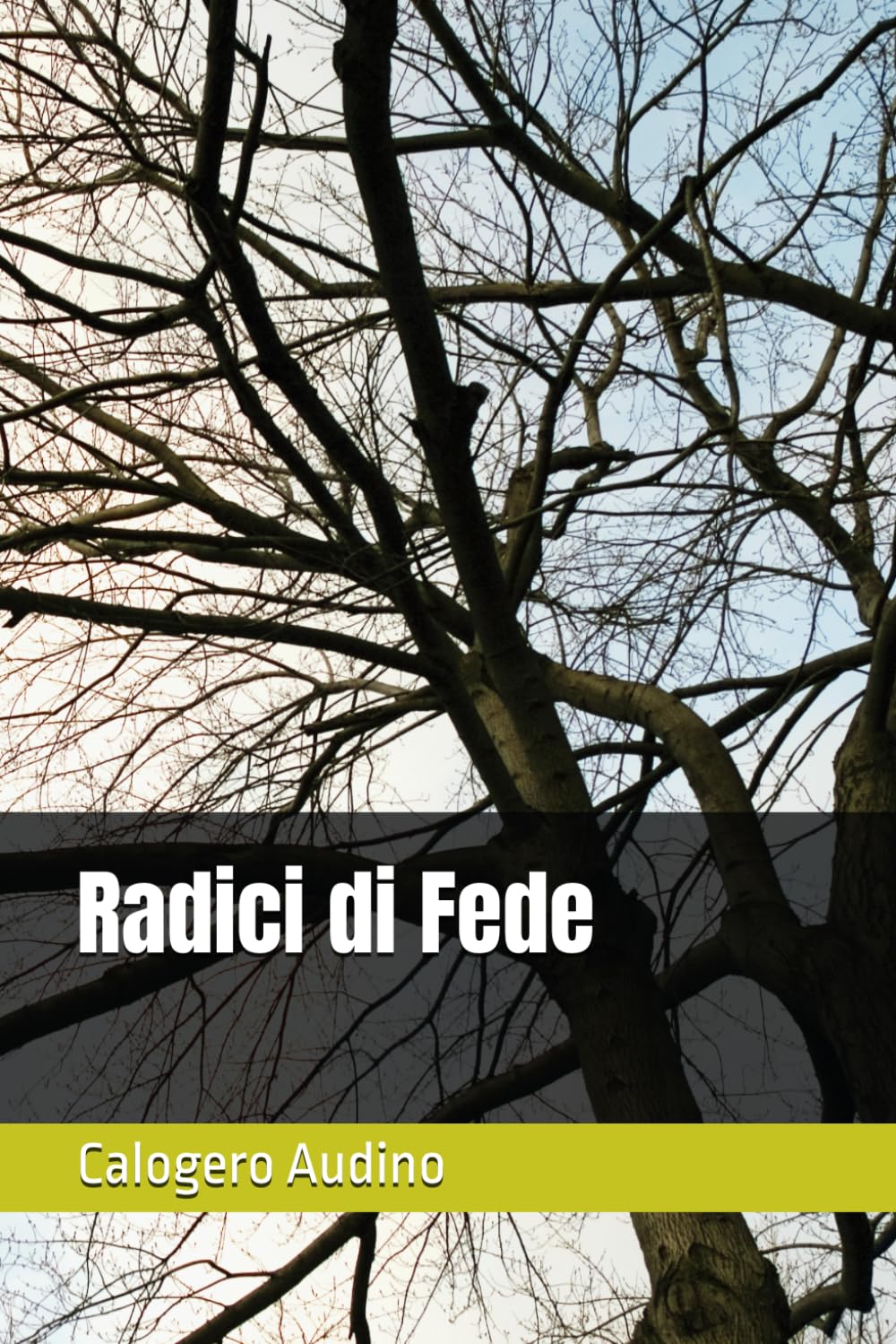 Radici di Fede (Famiglie in storie)
