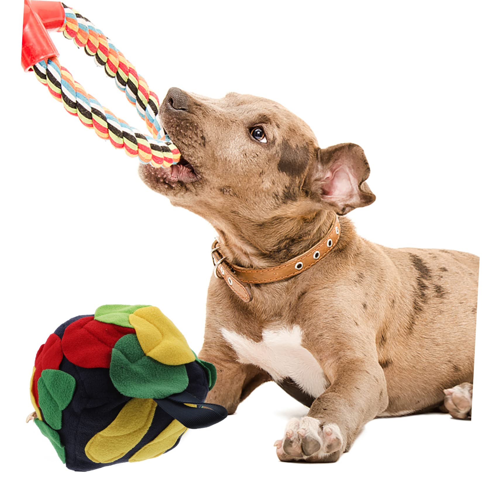BESPORTBLE 3piezas Bola De Olfateo para Perros Juguete Interactivo Multifuncional Dispensador De Comida Entrenamiento De Olfato para Cachorros y Mascotas Retro