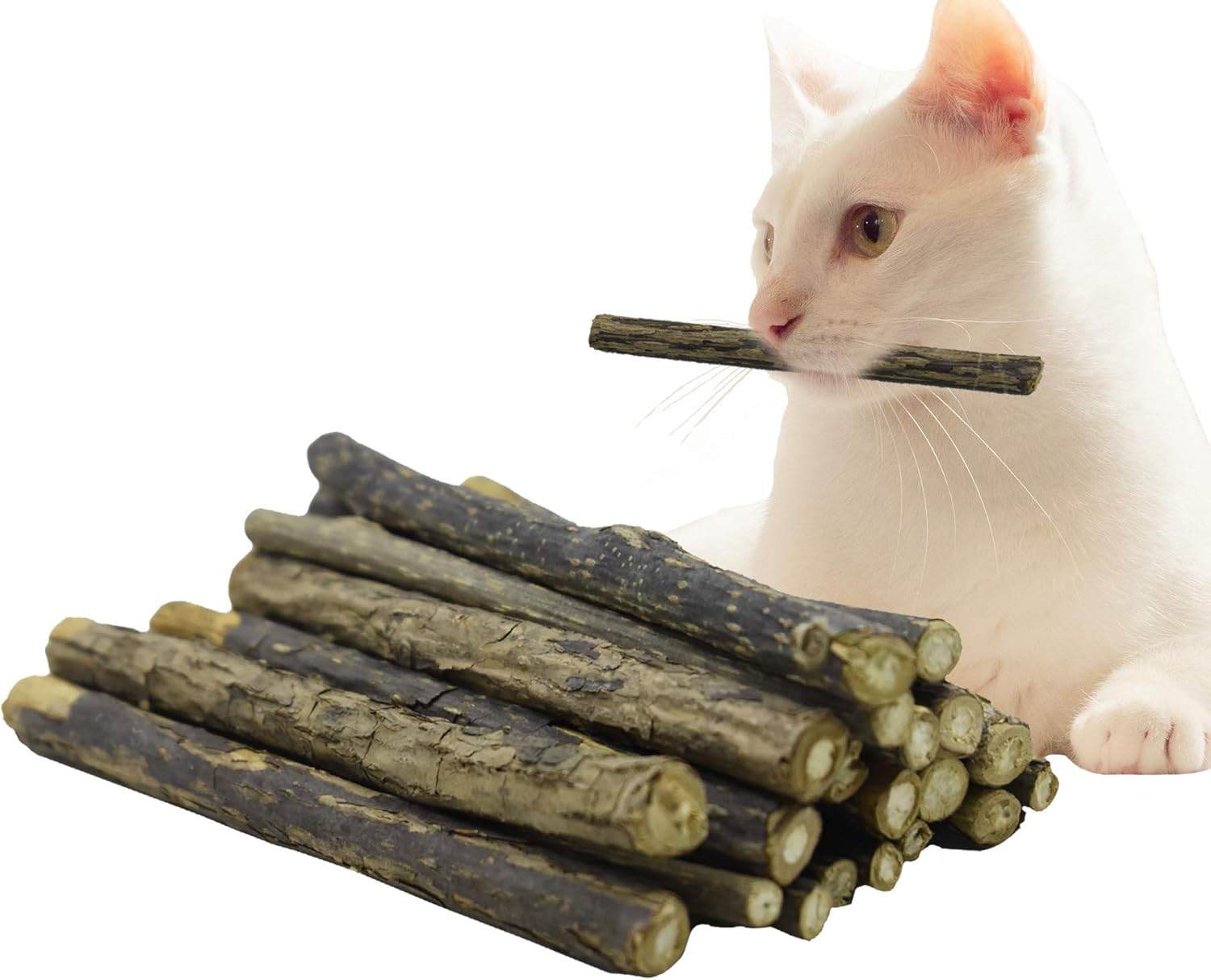 silvervine for cats teeth