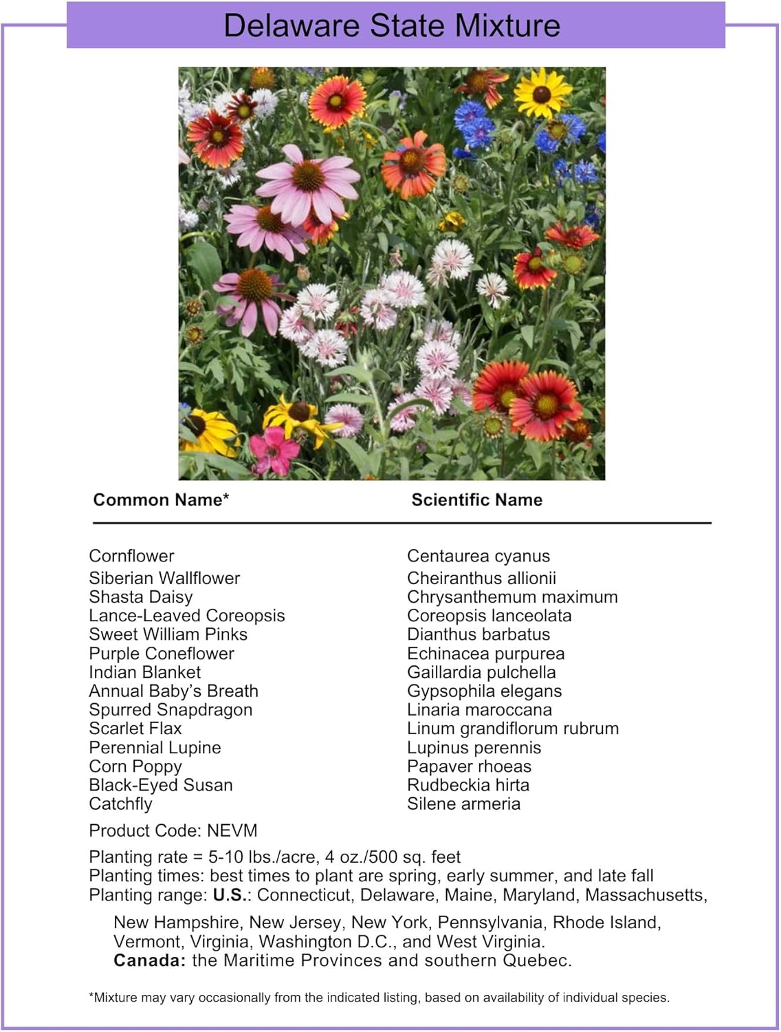 Delaware Bulk Perennial Wildflower Seed Mix 1lb Covers 2,000sq-ft - Attract Pollinators, Multi-Color Blooms - Northeast US Species Plant in Spring/Fall - Earth-Friendly Packaging (1/4 Pound)