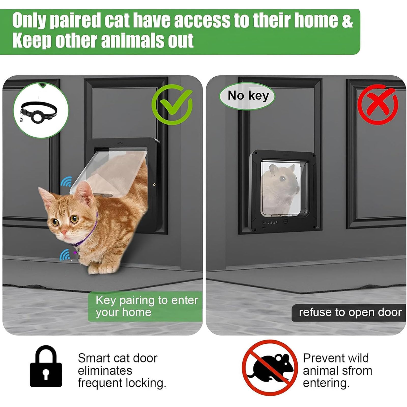 Gattaiola con microchip, porta intelligente per animali domestici | Identificazione RFID, design resistente alle intemperie, accesso automatico fluido, 2 chiavi per collare(white)