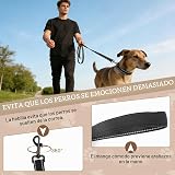 Ver la foto 7