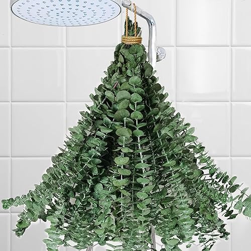 Eucalipto para ducha, 10 piezas de tallos de eucalipto secos colgantes de 17 pulgadas, hojas de eucalipto reales 100% hechas de eucalipto fresco,