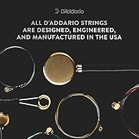 Vista 5 de D'Addario Kaplan Vivo Viola, juego completo, KV410 LM, cuerdas de viola, escala larga, tensión media