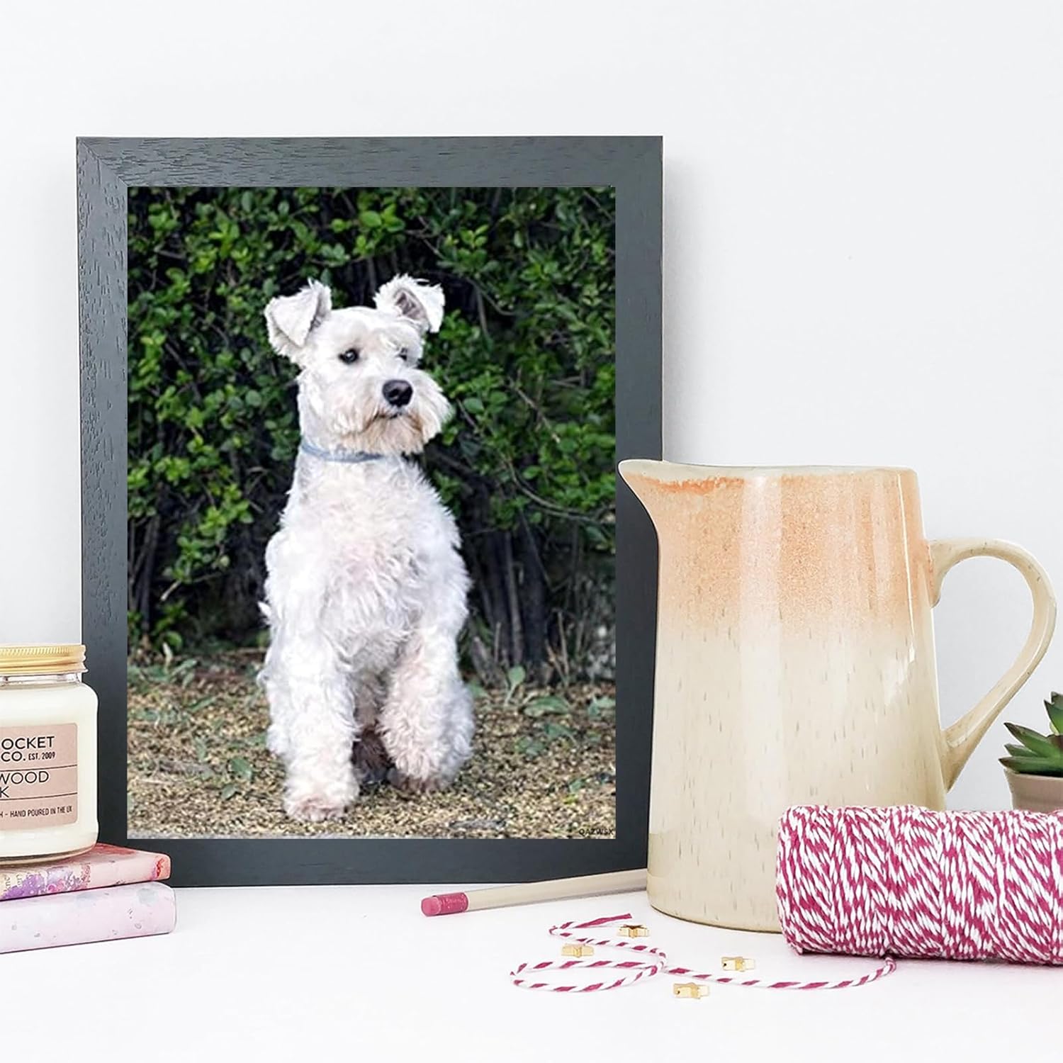 DIY 5D Diamond Painting Kits for Adults by Number Schnauzer Cute Pet Dog Animal, Full Drill Diamond Art Picture with HD Embroidery Canvas for Home Wall Decoration 30x40cm