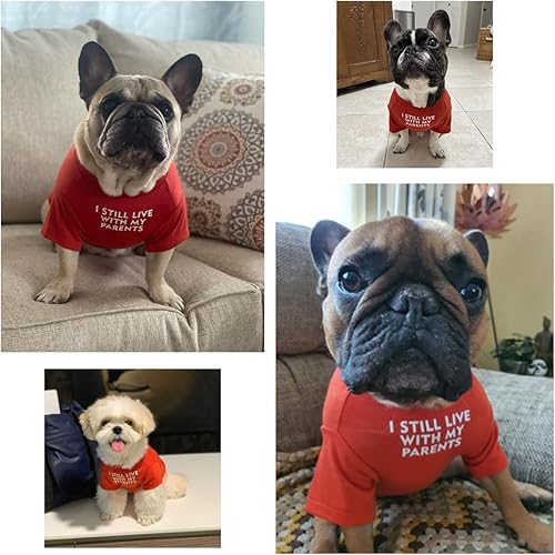 Miniatura 2 de Camisa para perro de bulldog francés para mascotas, camisetas para cachorros, camiseta de gato, transpirable, elástica, disfraces, talla M