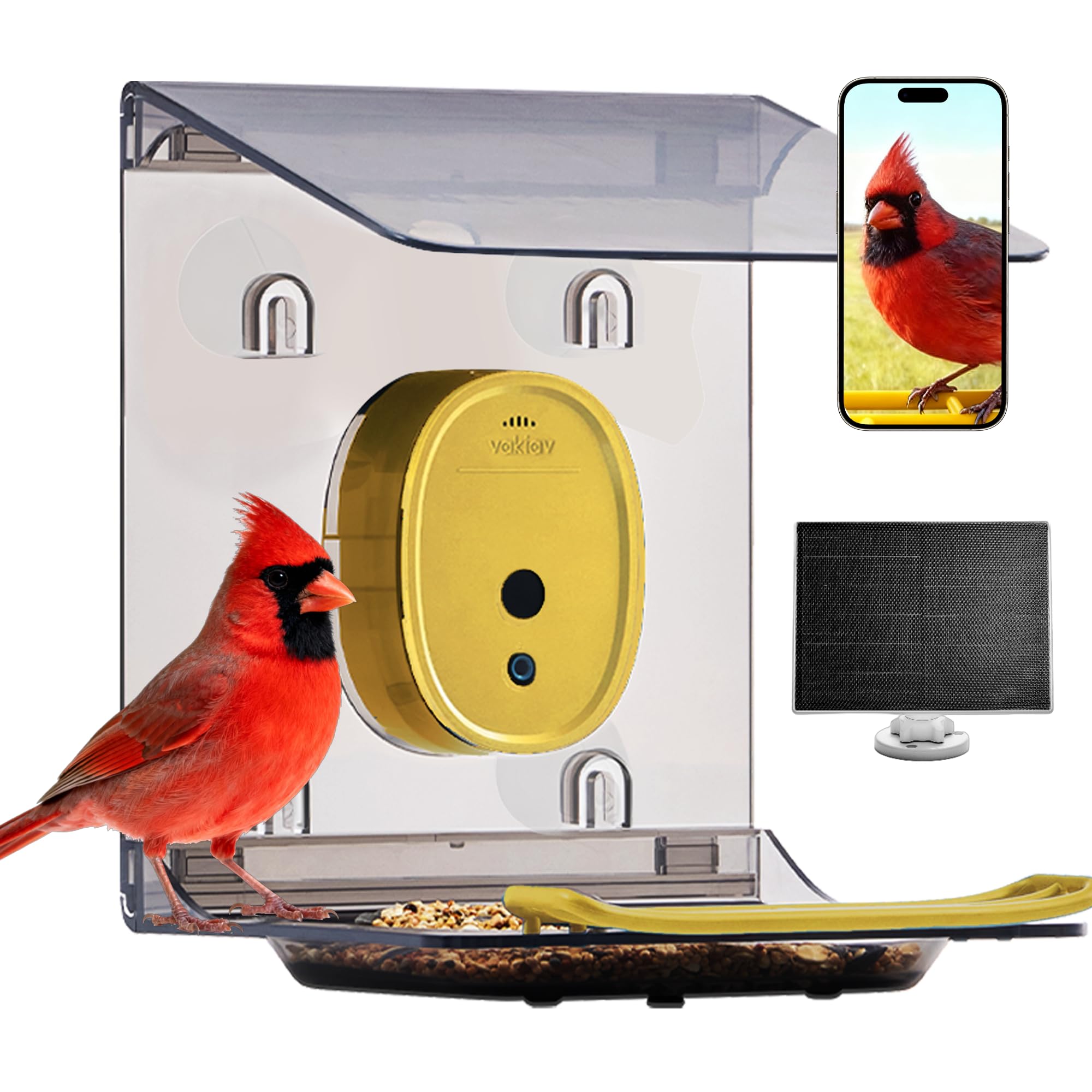 Amazon.com : Smart Bird Feeder with Camera Solar Powered,2K UHD