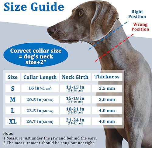 Miniatura 6 de Collar de púa para perros, collar de pellizco para perros grandes, medianos y pequeños, collar reflectante Martingala sin tirones para entrenamiento