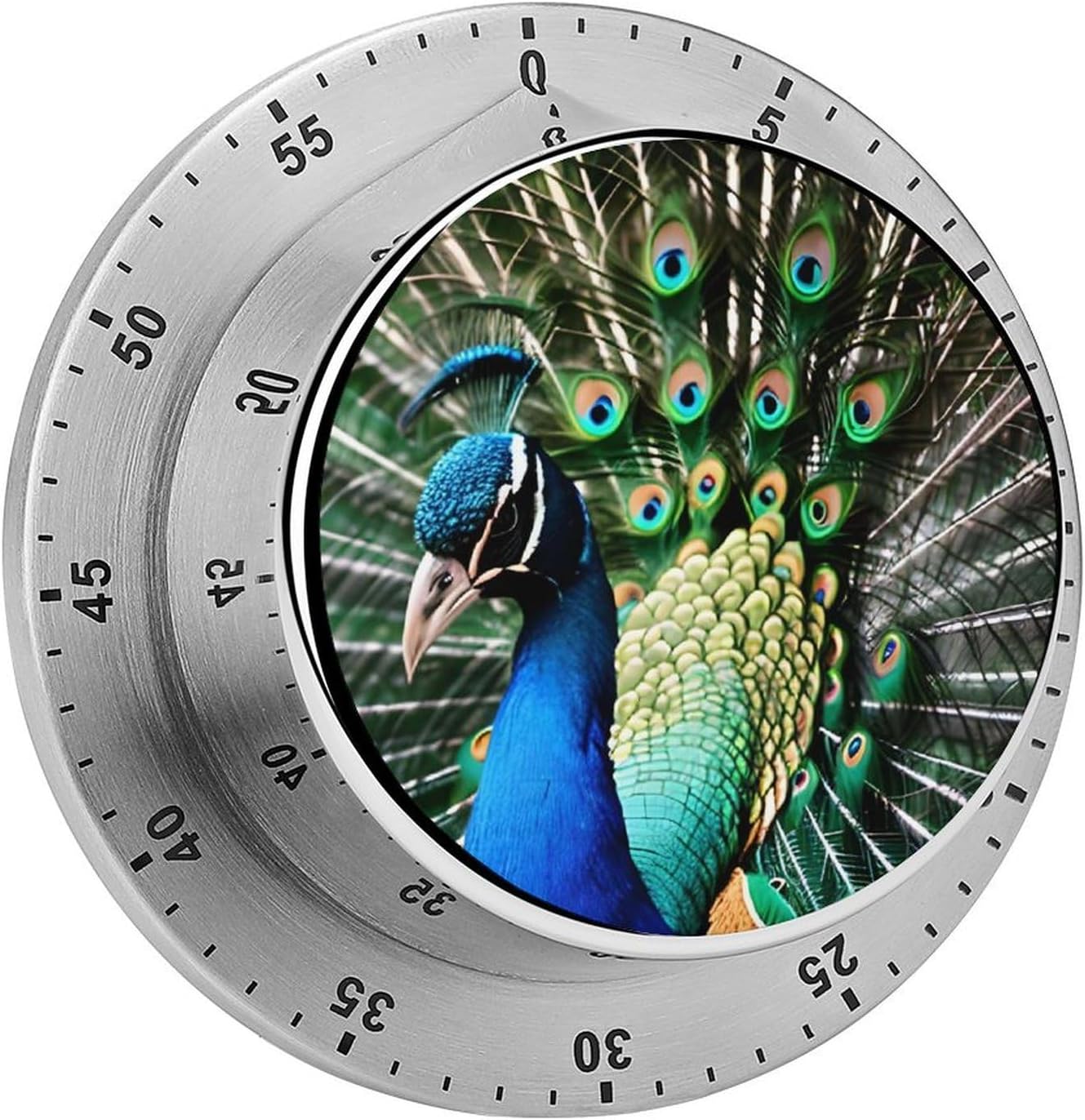 Peacock Timers Exquisite Stainless Steel Mechanical Kitchen Timer with Loud Alarm Magnetic Manual Countdown Timer Wind Up Cooking Timer Clock for Home Study Cooking