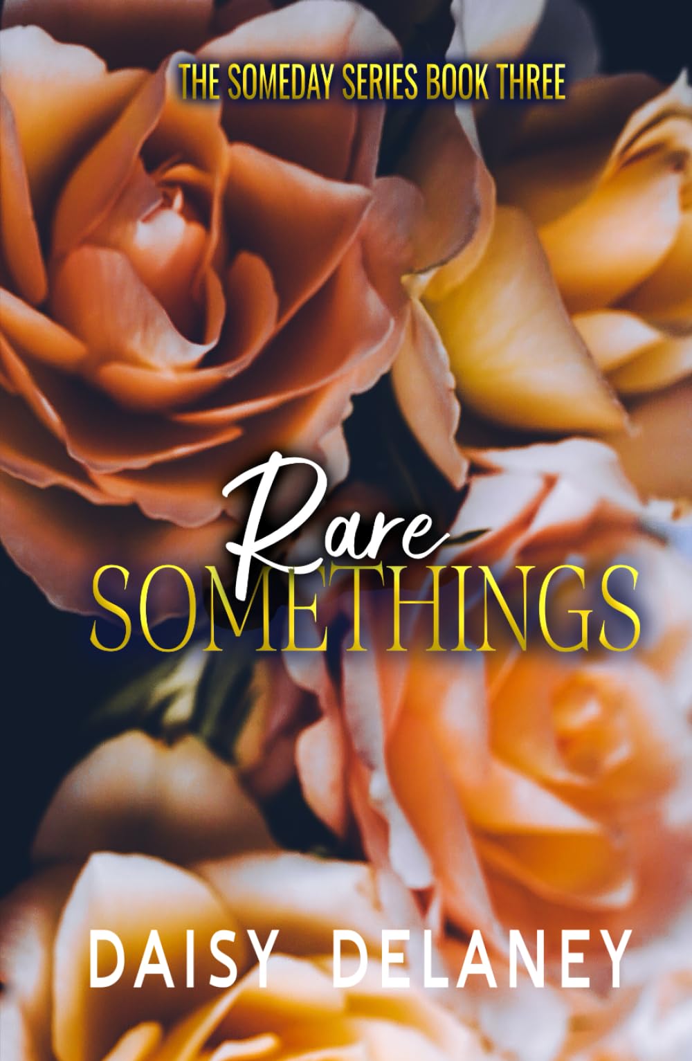 Rare Somethings: A Forbidden Love Romance Series (The Someday Series)