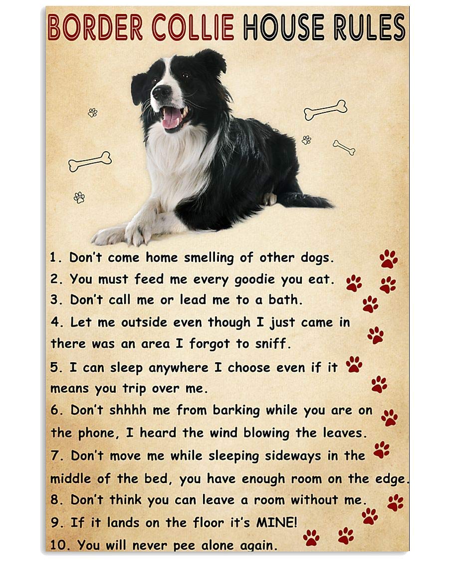 Inga Vintage/Retro Colors Border Collie House Rules Poster Wall Decor Metal Sign Plaque Poster 8X12 Inch