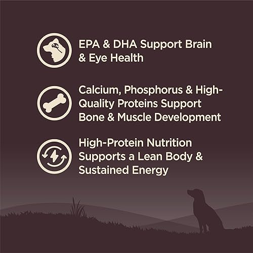 Vista 19 de Comida seca para perro sin granos Wellness Core Natural