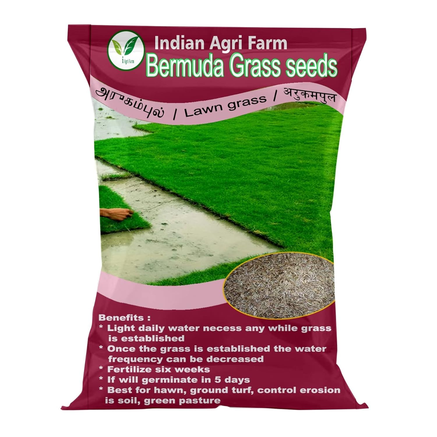 Iagrifarm Bermuda Grass Seed 500 gram/Lawn Grass Seed/Ever Green