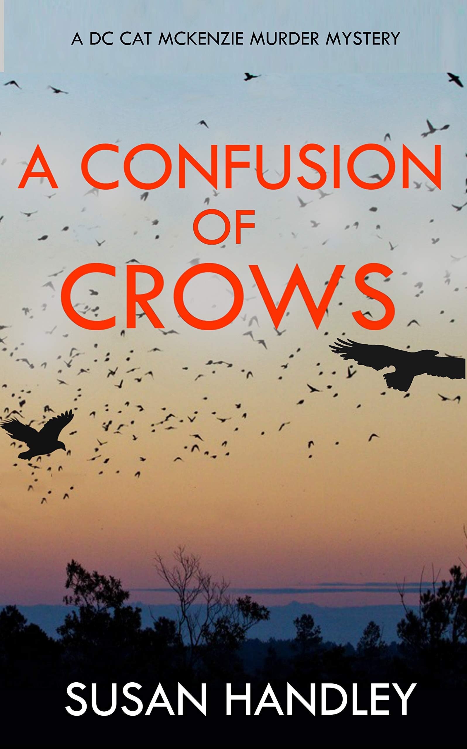 A Confusion of Crows: A DC Cat McKenzie Murder Mystery (The DC Cat McKenzie Mysteries Book 1)