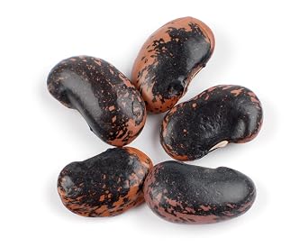 DAllesandro Scarlet Runner Beans, Dried, 10-Pound Bag Gourmet Buttery Flavor Beans for Soups and Salads