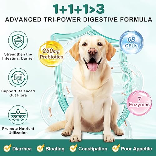 Miniatura 3 de Probióticos para perros, probióticos para perros con enzimas digestivas, prebióticos, omega-3 y 6 y vitaminas para perros Salud digestiva, 6 mil