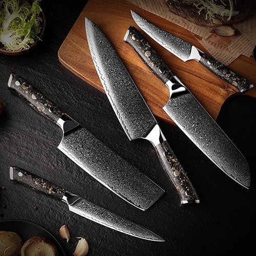 Juego de cuchillos de cocina de 5 piezas de cuchillos de damasco para cocina, ligeros y fuertes, hoja de 73 capas, espiga completa, cuchillo de chef