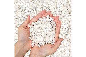 Premium White Polished Pebble Rocks for Planters