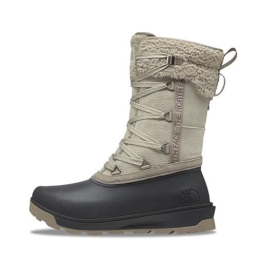 THE NORTH FACE Bota de neve feminina Shellista Iv com isolamento médio