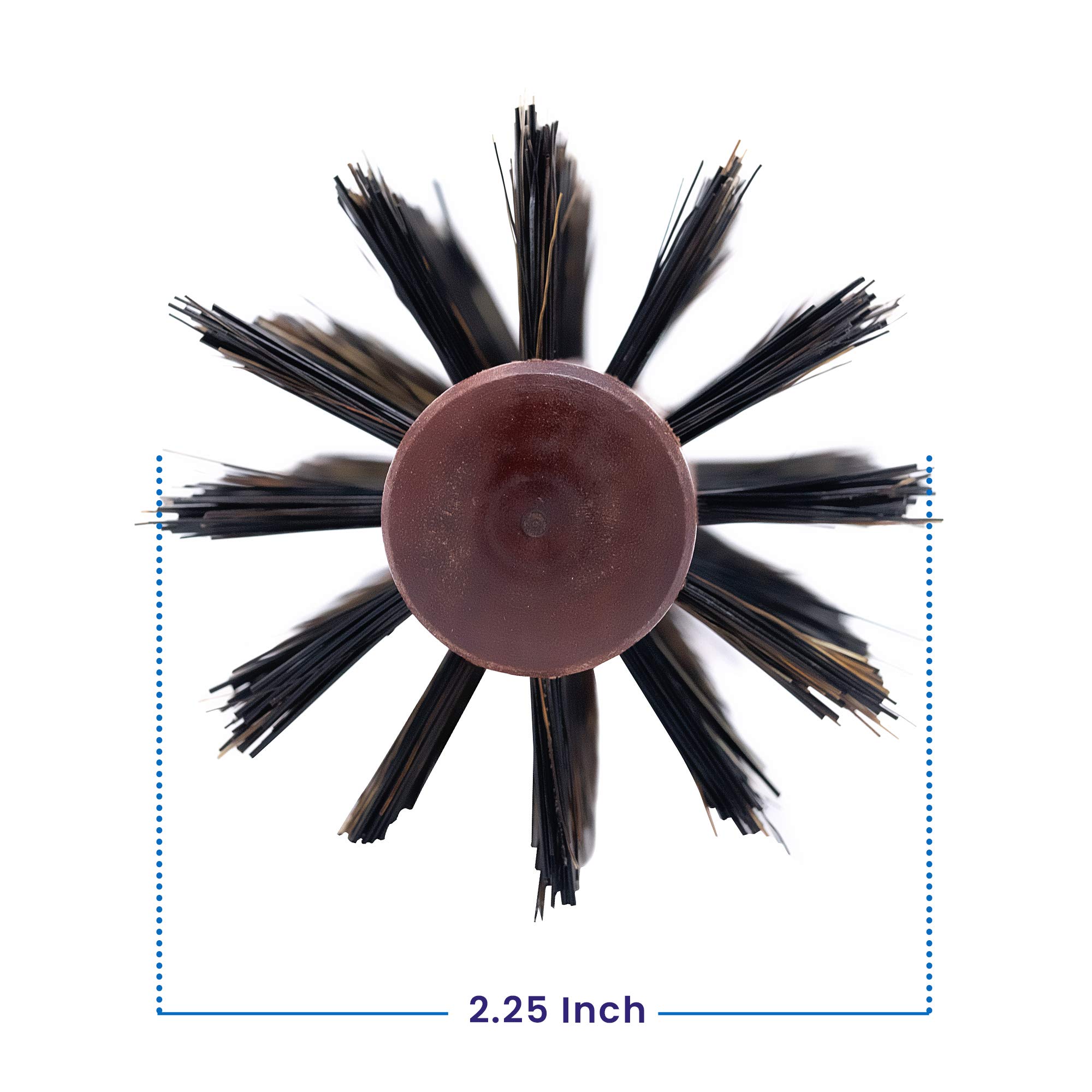 Spornette Italian Round Boar Bristle Brush, 2.25-Inch Wooden Hairbrush