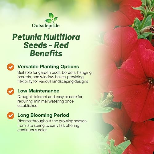 Miniatura 3 de Outsidepride Semillas de petunia multiflora rojas, 250 unidades, anuales, compactas, semillas de flores para plantar, flores vibrantes, ideales para