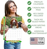 Vista 1153 de Razas de Perros 2017