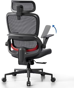 SIHOO B100 SE Dynamic Lumbar Support Office Chair