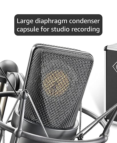 Amazon.com: Neumann TLM 103-MT-Set | Large Diaphgram Mono Set