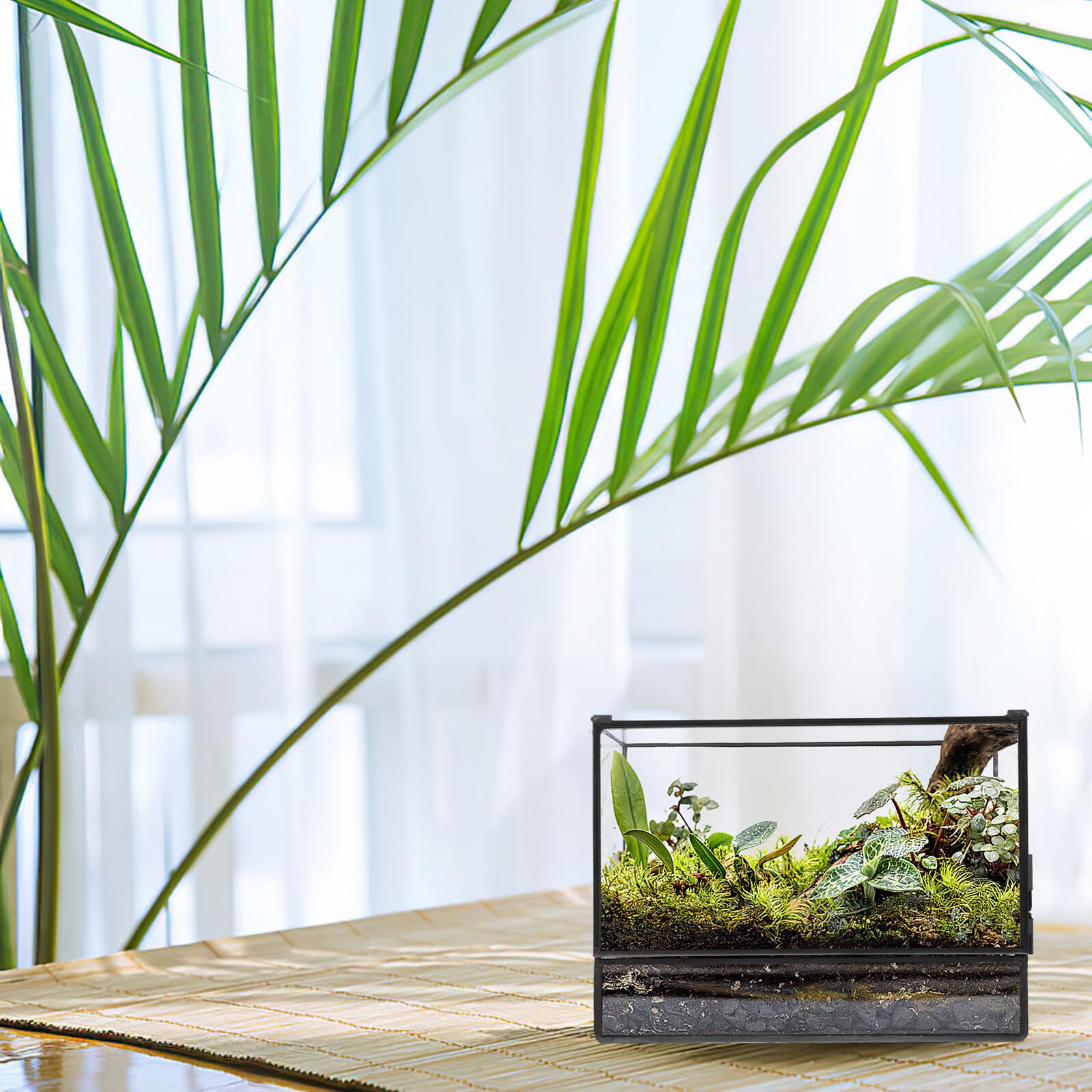 Hohopeti Handgefertigter Glas Terrarium behälter Mikro Landschaft Ökologische Pflanzendekoration Moos Terrarium für Wohnzimmer Büro Balkon Vielseitig Nutzbar