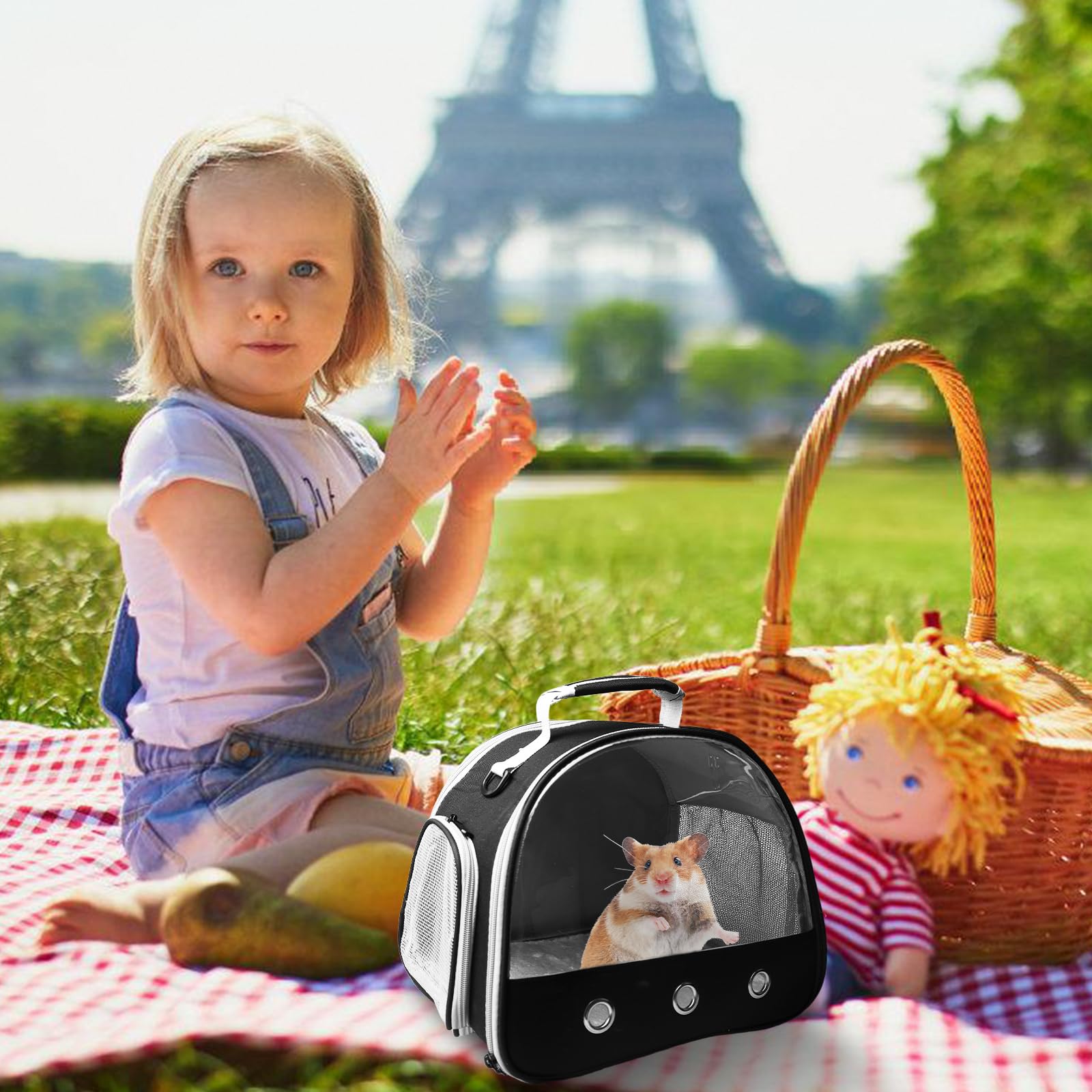 Boîte de transport pour hamster, 30 x 25 x 25 cm, sac de transport pliable pour chat, chien, petit animal, avec ouverture latérale, sac de transport pliable pour chat, chien, lapin, hamster