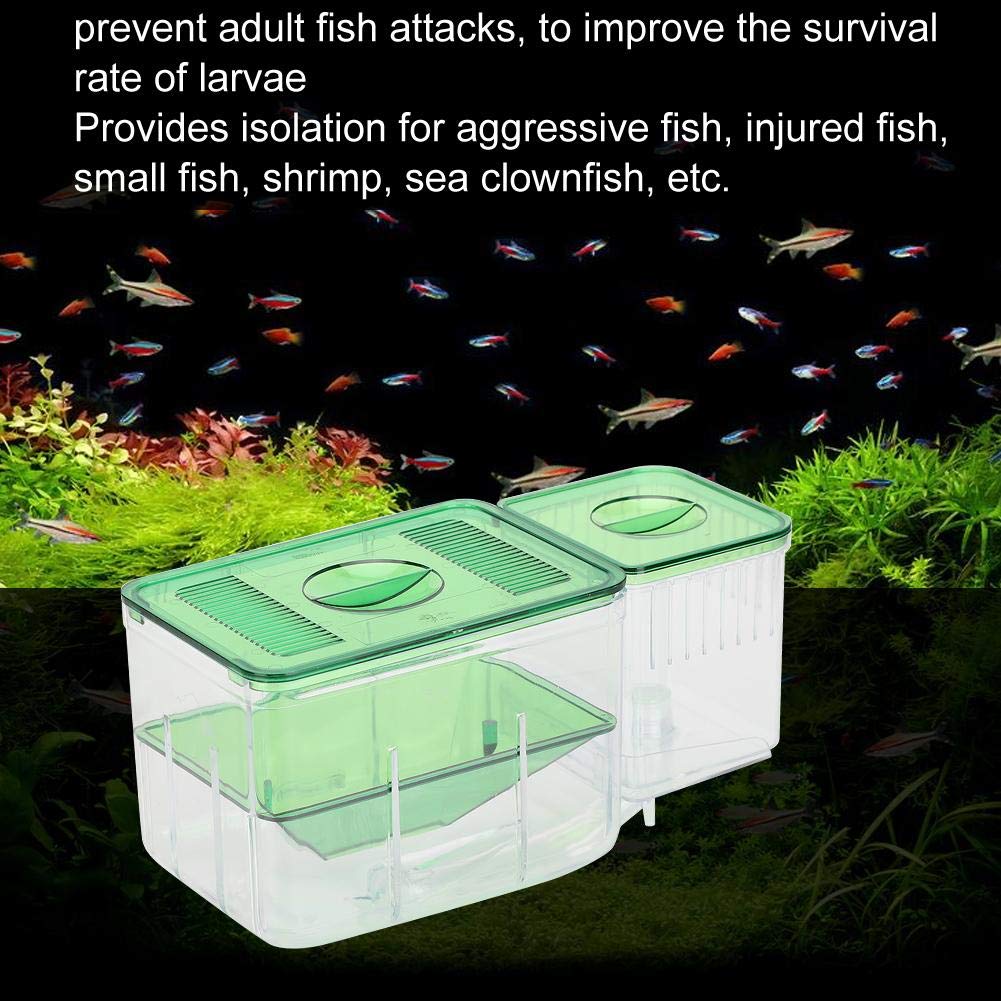 Criador de Peces, incubadora de Peces, Caja de cría promueve el Crecimiento Normal de los Peces Doble Capa para Peces Payaso de mar Acuario Hogar para camarones Tienda para Peces pequeños