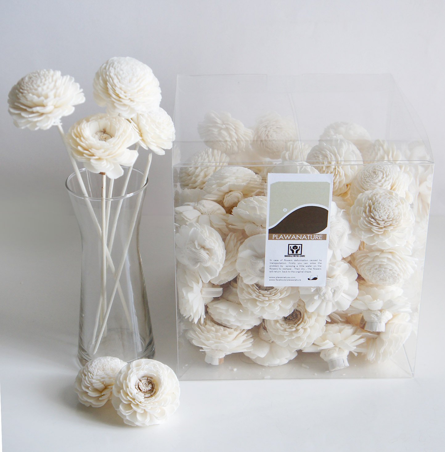 Plawanature Sola-Blumen Mit Schilfrohr Diffusor | 10 Stück, Weiß, Natürlicher Duftverteiler