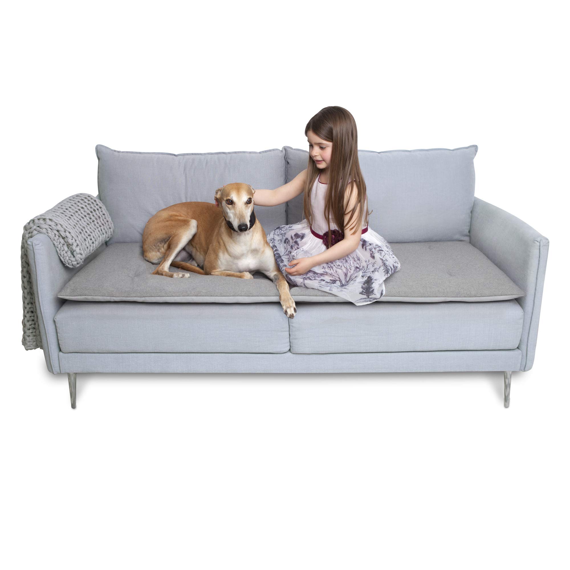 sofa topper for dogs