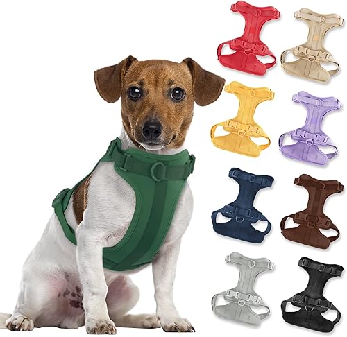Miniatura 63 de Arnés ligero para perro sin tirones: arnés ajustable y duradero de malla transpirable para mascotas con cojín suave y cómodo, para perros pequeños