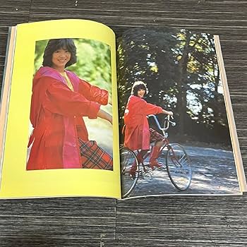 1980年の松田聖子　合計8冊セット　写真集 1980年の松田聖子 合計8冊セット 写真集 1980年の松田聖子
