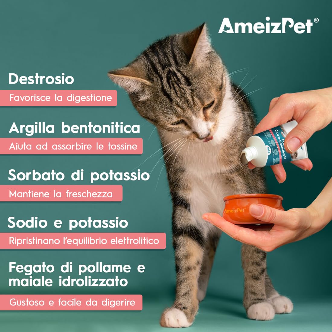 AmeizPet Pasta Gastrointestinale per Gatti, Supporto Gastrointestinale per la Salute Intestinale e la Flora Batterica, Integratore Digestivo per Gatti e Gattini, 100g (3.53 Oz)