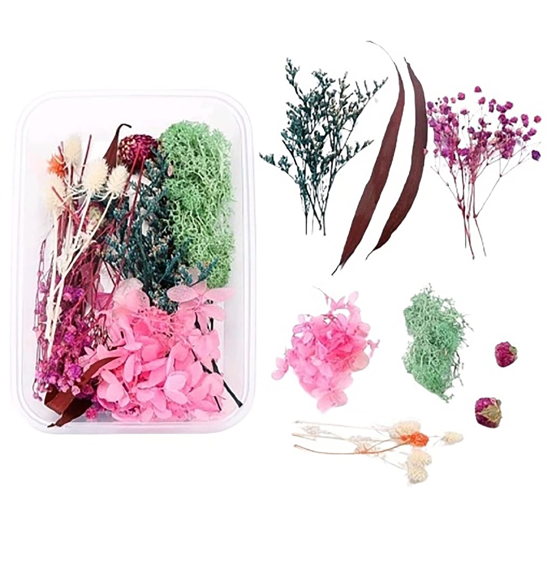 Natural Real Dried Flowers for Art Craft - Mixed & Multicolor for Soap, Artificial Candles, Scrapbooking, DIY, Resin Jewelry, Pendant - Flower 7-image-40