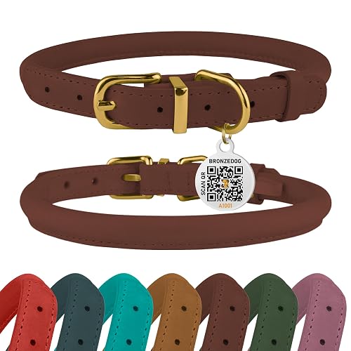 Collar de cuero enrollado para perro, etiqueta QR, antienredos (16-19