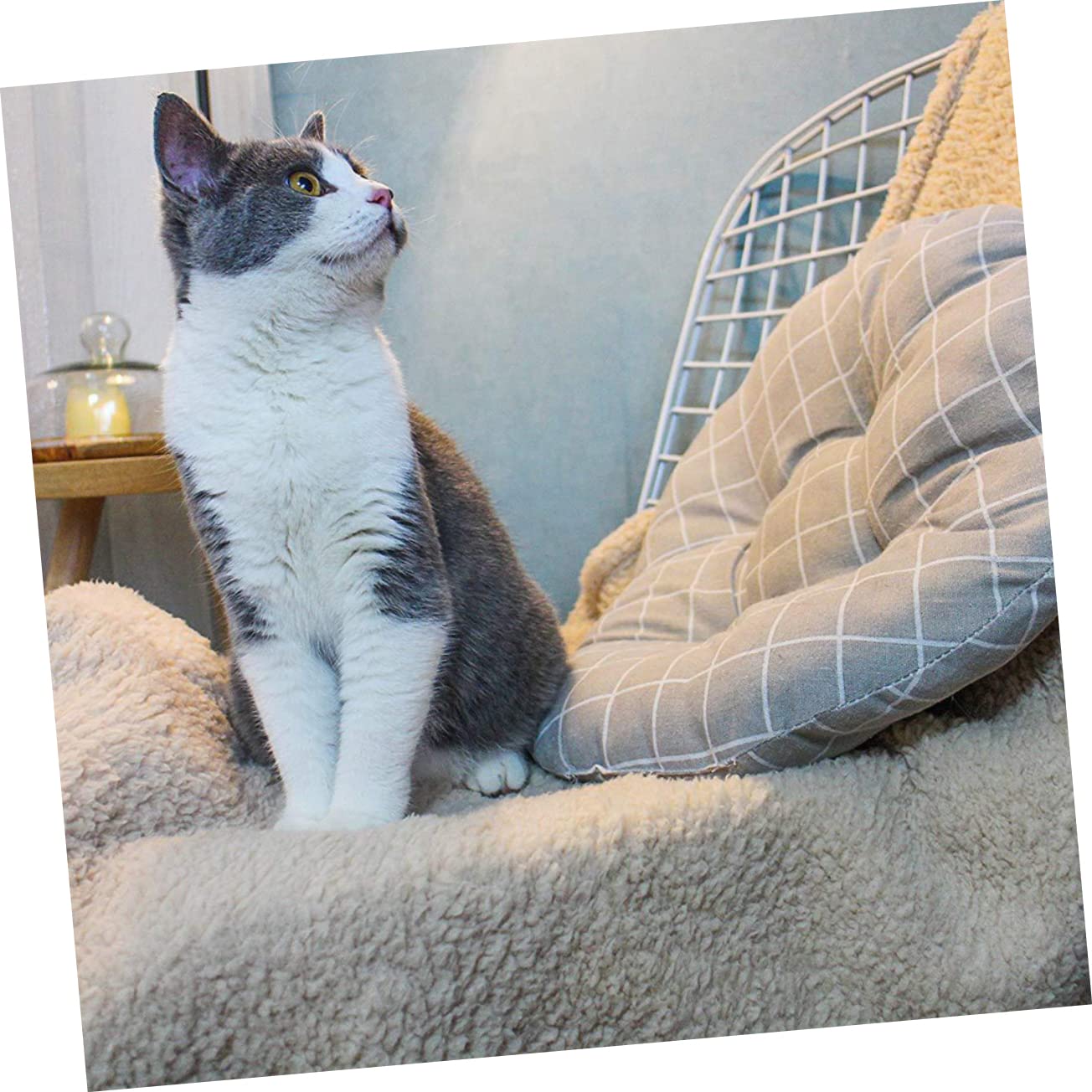 HEMOTON Manta para Gatos De Felpa Extra Alfombra para Mascotas Cómoda Cojín para Dormir para Dormitorio De Gato
