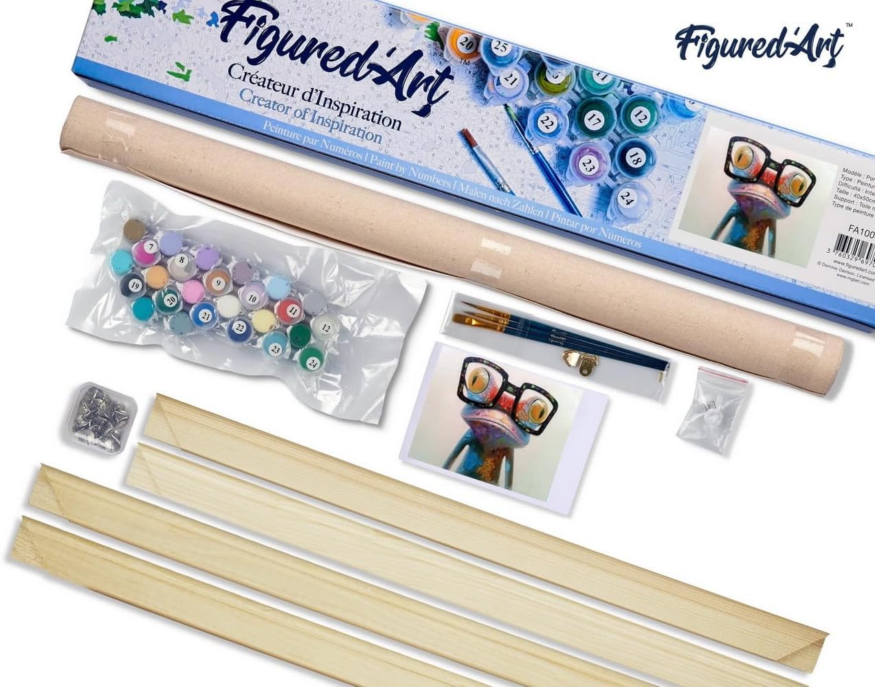 Figured'Art Paint by Numbers for Adults Frog and Eyewear 16"x20" - Craft Art Painting Rolled Canvas with DIY Wooden Frame