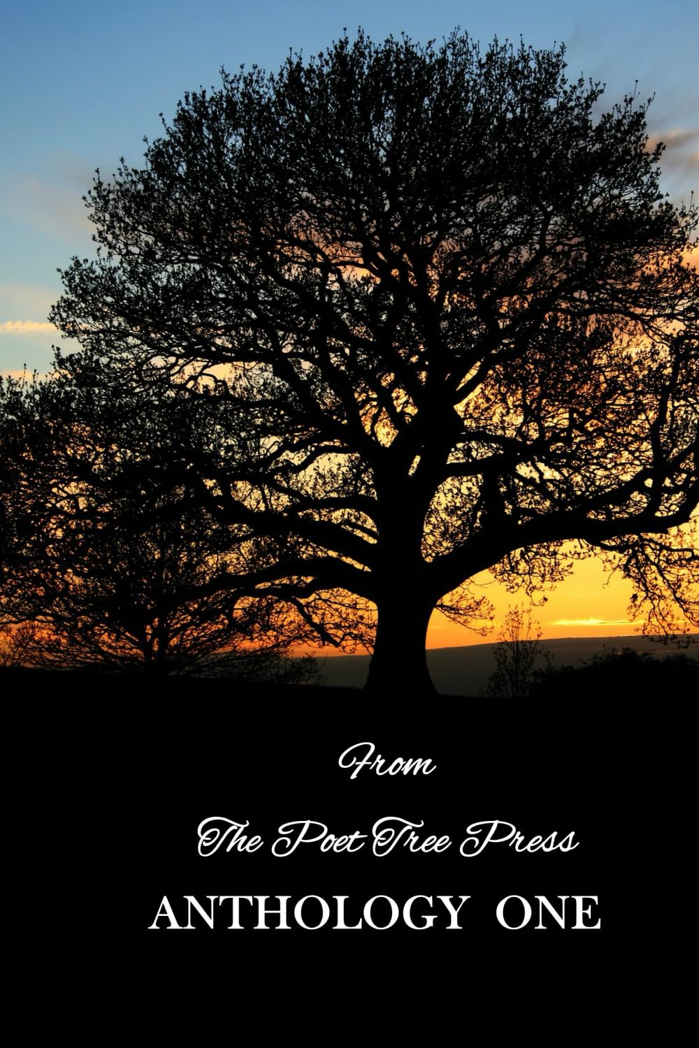 From The Poet Tree Press Anthology One: Lora Lee, Matt Cording, Valerie Dohren, Ruth Levi-Kent, Lynne Alison, Priya Patel, Richard Harvey, Marian ... Ingrid Schneider, Caitlin Wilcox,