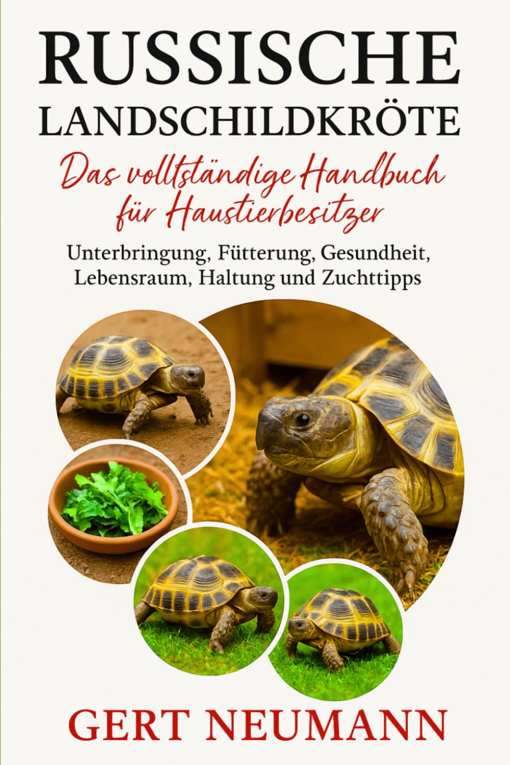 Russische Landschildkröte Das vollständige Handbuch für Haustierbesitzer: Unterbringung, Fütterung, Gesundheit, Lebensraum, Haltung und Zuchttipps