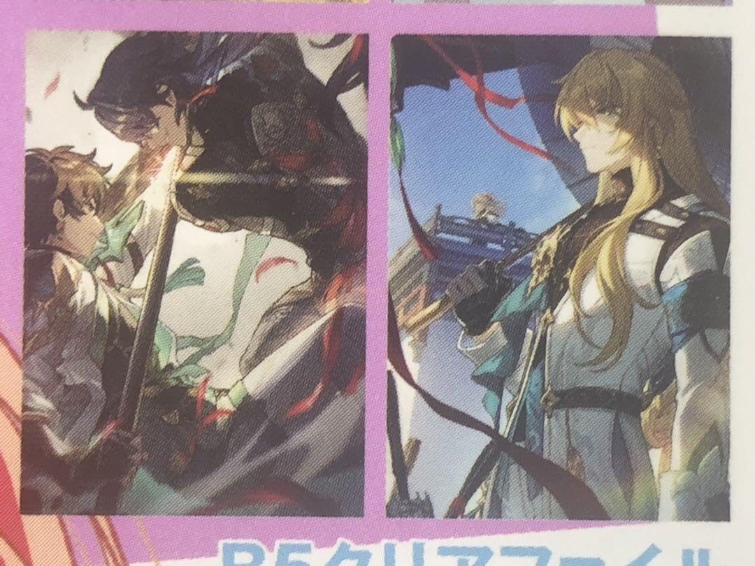 Amazon.co.jp: 崩壊 スターレイル 丹恒 刃 羅刹 クリアファイル : おもちゃ