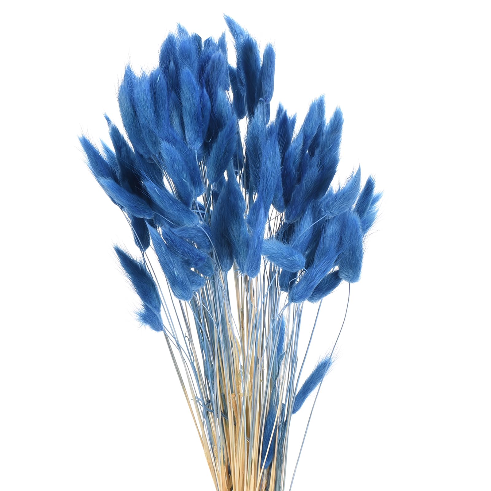 Mini herbe de pampa lagurus ovatus bleu marine bouquet fleurs séchées décoration