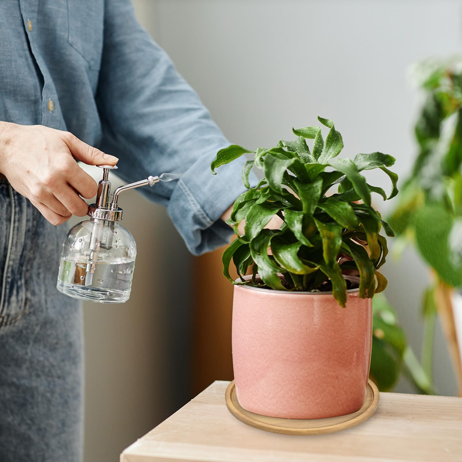 TIXIPEM Plant Pot Saucer [3PCS] - Round Flower Drip Tray Use for Indoor & Outdoor & Garden & Potted Plants - 4.3IN Outer Diameter Bamboo Plant Tray Flower Pot Saucers