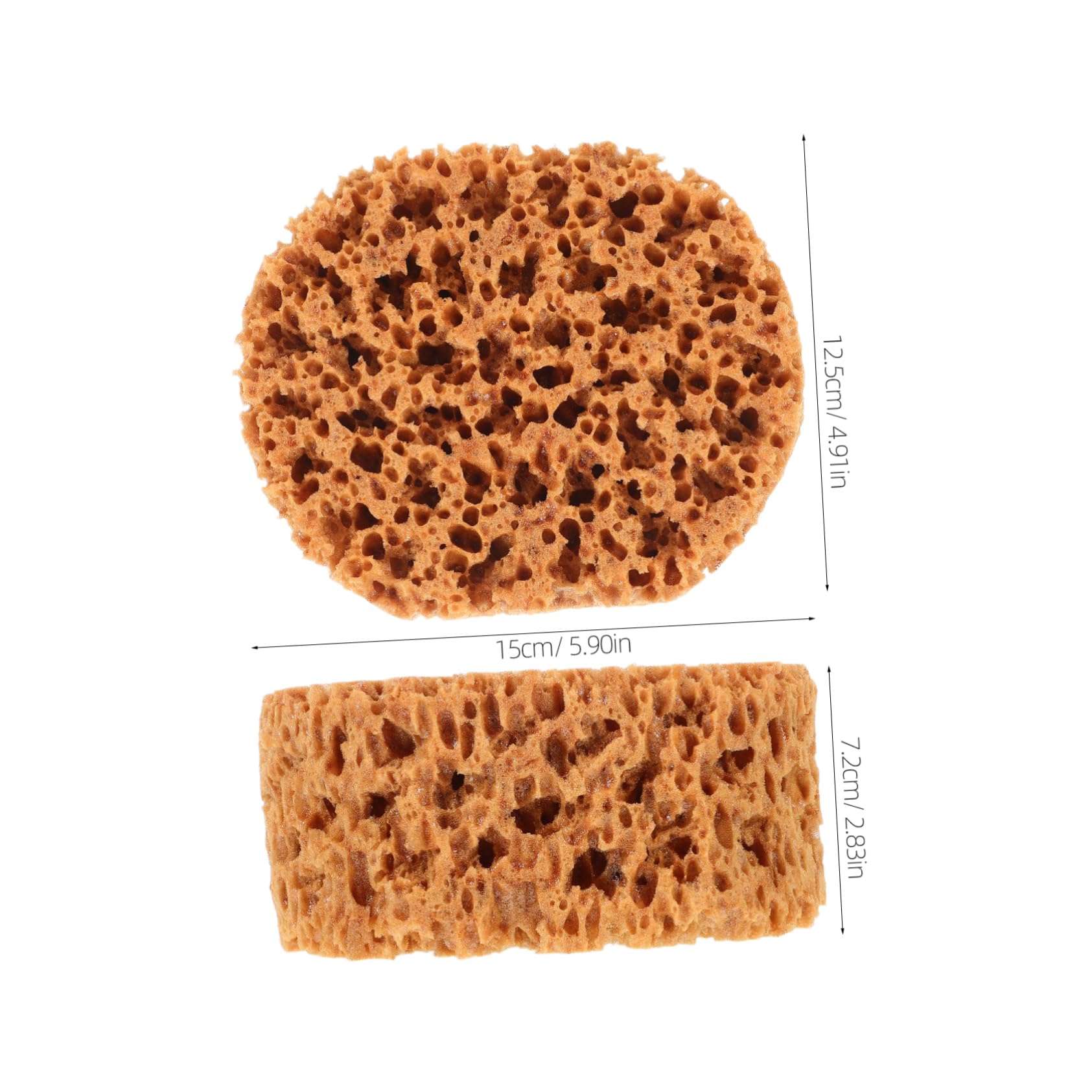 Housoutil Painting Sponges Ergonomic Seaweed Imitation Design for Decorating Texturing and Crafts Easy to Use Comfortable Grip Efficient Paint Application for Artistic