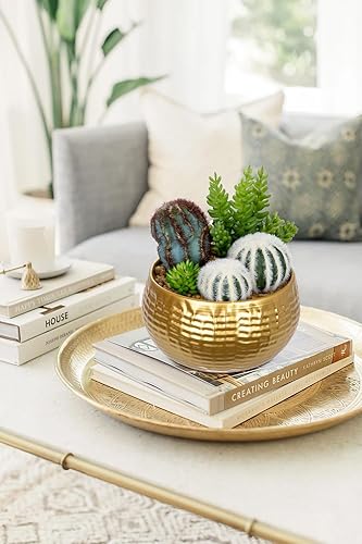 Miniatura 5 de Plantas de cactus artificiales para interiores, 7 pulgadas, suculenta sintética surtida en macetas, planta de escritorio falsa en maceta con cuenco