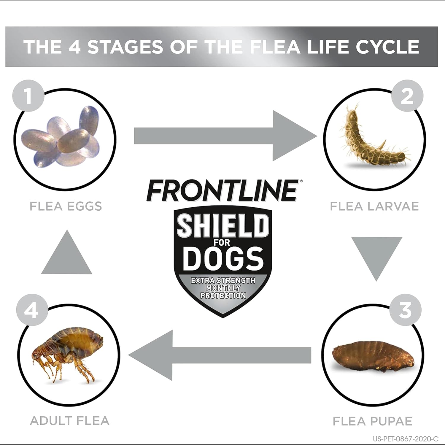 Buy FRONTLINE Shield Flea & Tick Treatment for Large Dogs 4180 lbs
