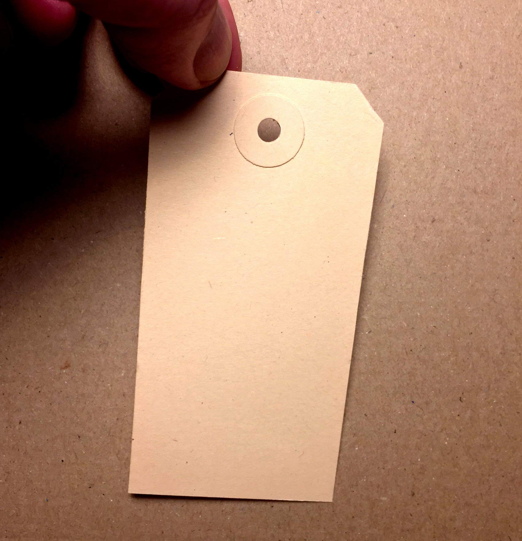 Lot de 1000 Étiquettes 50 x 100 mm Avec Trou (Œillet en Carton Renforcé) - Étiquettes de Marchandises en Papier